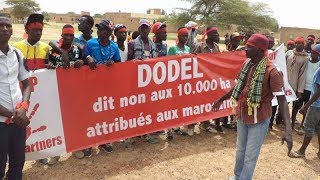 Sénégal  un milliardaire marocain aux prises avec des paysans [upl. by Treblah325]