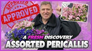 JFTV A Fresh Discovery PERICALLIS with Mike [upl. by Razaile850]