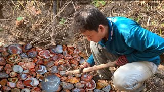 find natural gemstone chalcedony agate part490 [upl. by Ecnerolf]