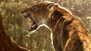 Smilodon  The SaberToothed Predator [upl. by Quick]