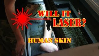 WILL IT LASER Human Skin [upl. by Winterbottom680]