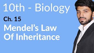 10th Class Biology Chapter 15  Mendels Law of Inheritance  Class 10 Biology Chapter 15 [upl. by Nerha969]