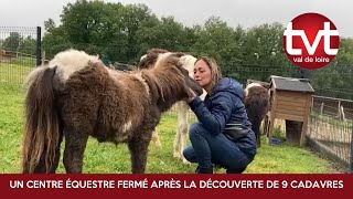 Un centre équestre fermé à FaverollessurCher après la découverte de 9 cadavres de chevaux [upl. by Eniawd173]