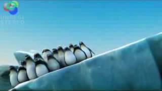 Pinguine auf einer Eisscholle  halten zusammen [upl. by Ketchum]