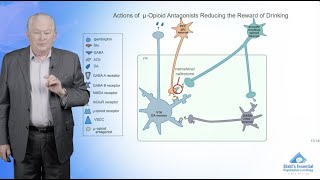 Treatments for Alcohol Use Disorder [upl. by Poirer792]