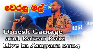 Weralu Mal Dinesh Gamage and Kaizar Kaiz live in Ampara 2024 [upl. by Mabelle]