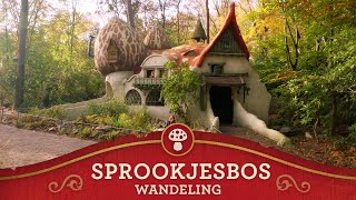 Efteling Walkthrough  Sprookjesbos [upl. by Aiam]