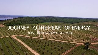 Journey to the heart of Energy  How a biomass power plant works [upl. by Nnaycart]