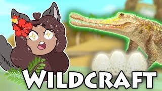 The New EGGS of Destiny 🐊 WildCraft Crocodile Update [upl. by Ranip]