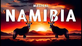 MAGICAL NAMIBIA  The Amazing Wildlife of Namibia Full Documentary [upl. by Sass573]