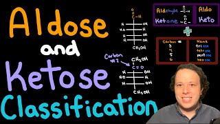 Carbohydrate Basics Classifying Aldoses and Ketoses for Beginners [upl. by Gusella]