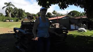 Greenwell Coffee Farm Kona HI Part 6 of 6 [upl. by Elylrac]