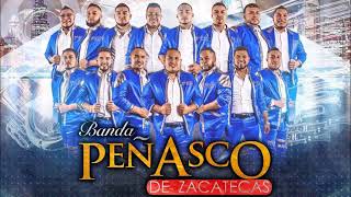 Banda Peñasco de Zacatecas Disco 2017 En Vivo [upl. by Araes]