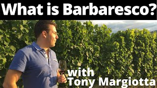 What Is Barbaresco Wine [upl. by Erdnuaed20]