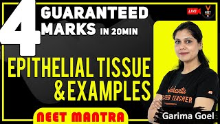 Epithelial Tissue and Examples  4 Marks Guaranteed in NEET 2020  NEET Mantra by Garima Goel [upl. by Ocsisnarf539]