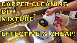 The WORLDS BEST DIY Carpet Cleaning Solution Mixture EFFECTIVE amp CHEAP [upl. by Einor]