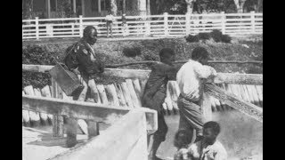 Rare Vintage Photos of Slavery in Antebellum South Carolina From the 1850s1860s [upl. by Stout]