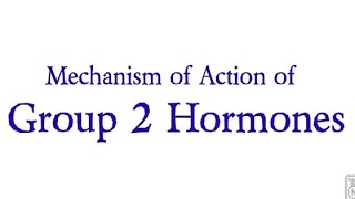 Mechanism of Action of Group 2 Hormones  Biochemistry  Mechanism of Hormone Action hormones [upl. by Dorothi]