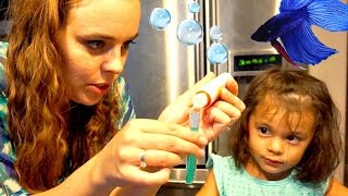 FISH TANK EXPERIMENT  Toddler Learns Water Chemistry [upl. by Alicsirp553]