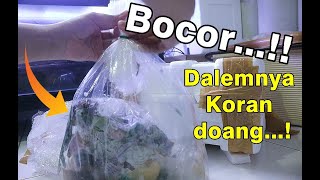 Unboxing Beli Palmas AlbinoDelhezi amp Senegalus Online [upl. by Aikemat505]