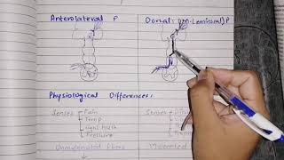 Anteralateral vs Dorsal pathway  guyton 48 sensory physiology [upl. by Nnaasil]