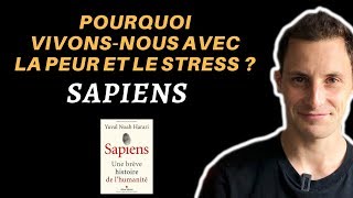 Pourquoi vivonsnous dans la peur et le stress   Sapiens  Harari [upl. by Ythomit]