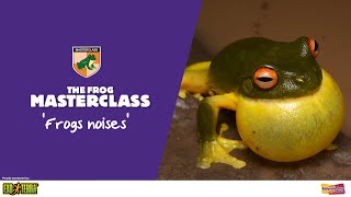 Why do frogs make noises [upl. by Dracir]