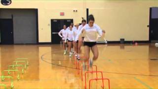 Discover Plyometric Drills Designed for Volleyball  Volleyball 2015 43 [upl. by Ainollopa770]