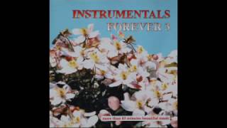 Instrumentals Forever  Tjeerd Venema 1 [upl. by Spector]