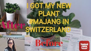 I got my new PlantBADJANG in Switzerland [upl. by Zerk]