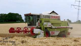 4K Weizen Ernte 2023 mit dem CLAAS Mega Dominator 204 Getreideernte 2023 Grain harvest 2023 [upl. by Alyel]