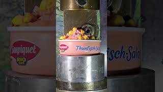 Was passiert mit einem Thunfisch Salat in eine Hydraulik Presse slowmotion [upl. by Ttereve749]