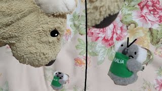 Battles Of Randomness 1 Dog Vs Koala [upl. by Oloap]