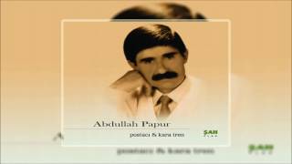 Abdullah Papur amp Pınar Senin   Oficial Music © ŞAH PLAK [upl. by Eellek]