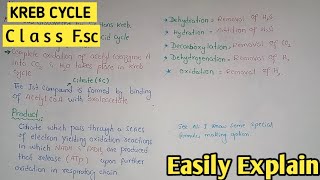 Kreb Cycle Explained  Citric Acid Cycle  Class 11 Biology [upl. by Ailbert]