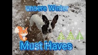 Winter Must Haves  Hundeedition  Türchen 9 [upl. by Ahsenot906]