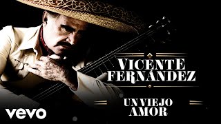 Vicente Fernández  Un Viejo Amor LetraLyrics [upl. by Artemahs]