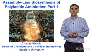 Chaitan Khosla Stanford Part 1 An Introduction to Polyketide Assembly Lines [upl. by Hoseia664]