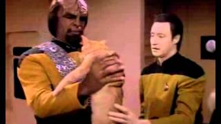 Data asks Worf to take care of Spot [upl. by Hamil]