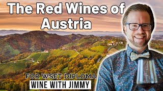 Exploring the red wines of Austria for WSET Level 4 Diploma [upl. by Mcfadden482]