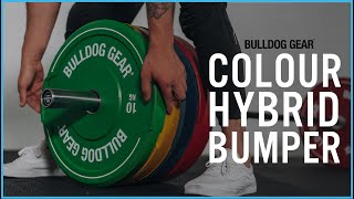 Bulldog Gear  Hybrid Colour Bumper Plates 20 [upl. by Kaile]