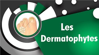 Les Dermatophytes [upl. by Salita119]