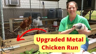 UPGRADED Metal Backyard Chicken Run [upl. by Laroy151]