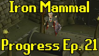 Oldschool Runescape  2007 Iron Man Progress Ep 21  Iron Mammal [upl. by Heimer894]