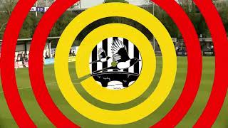 Maidenhead Utd v Gateshead  HIGHLIGHTS  13th April 2024 [upl. by Giamo]