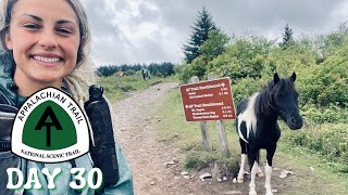 Day 30  The Grayson Highlands  Appalachian Trail Thru Hike 2021 [upl. by Lin466]