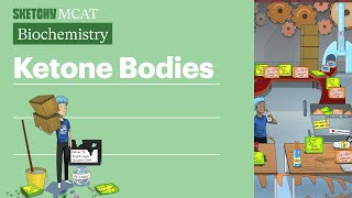 Ketone Bodies Biochemistry  Sketchy MCAT [upl. by Eselehs]