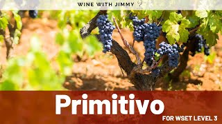 🍷 Primitivo Zinfandel for WSET Level 3🍷 [upl. by Aihppa349]