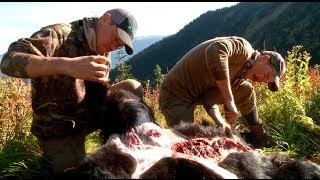 How to Skin and Butcher a Black Bear with Steven Rinella  MeatEater [upl. by Drusi]