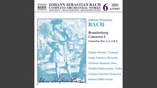 Brandenburg Concerto No 1 F Major BWV 1046 I Allegro [upl. by Maclean332]